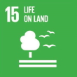 eco-design image